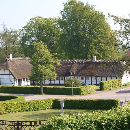 Baekgaarden B&B Lyndelse Eksteriør bilde