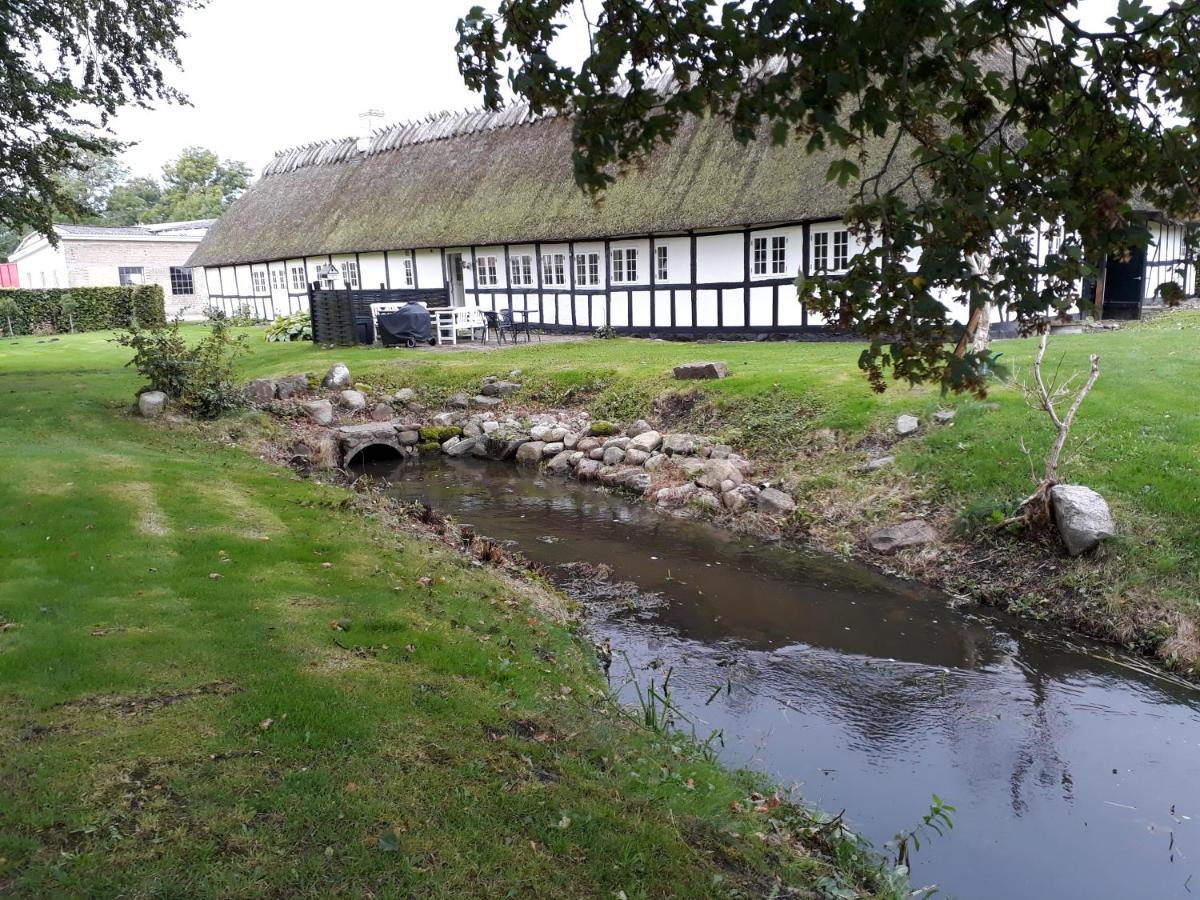 Baekgaarden B&B Lyndelse Eksteriør bilde