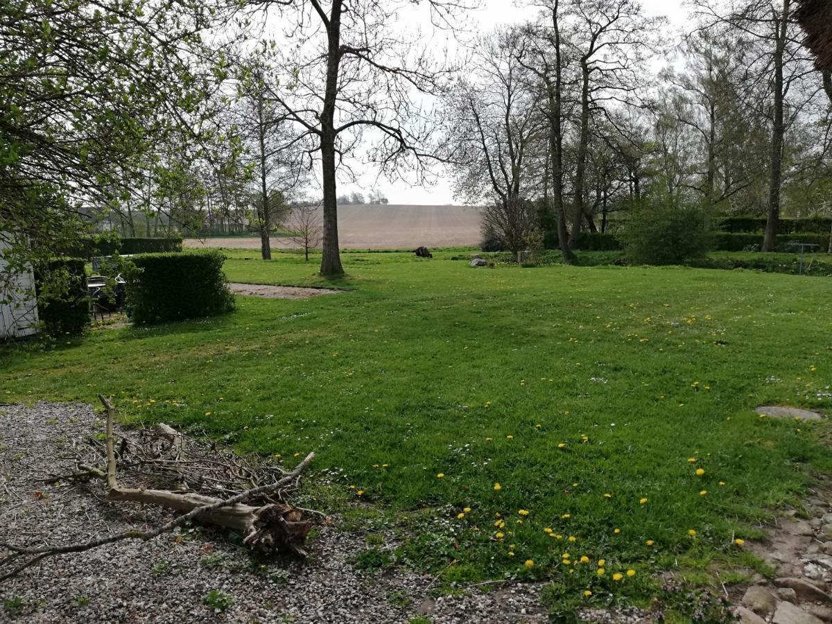 Baekgaarden B&B Lyndelse Eksteriør bilde