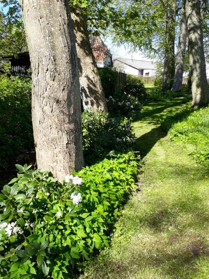 Baekgaarden B&B Lyndelse Eksteriør bilde