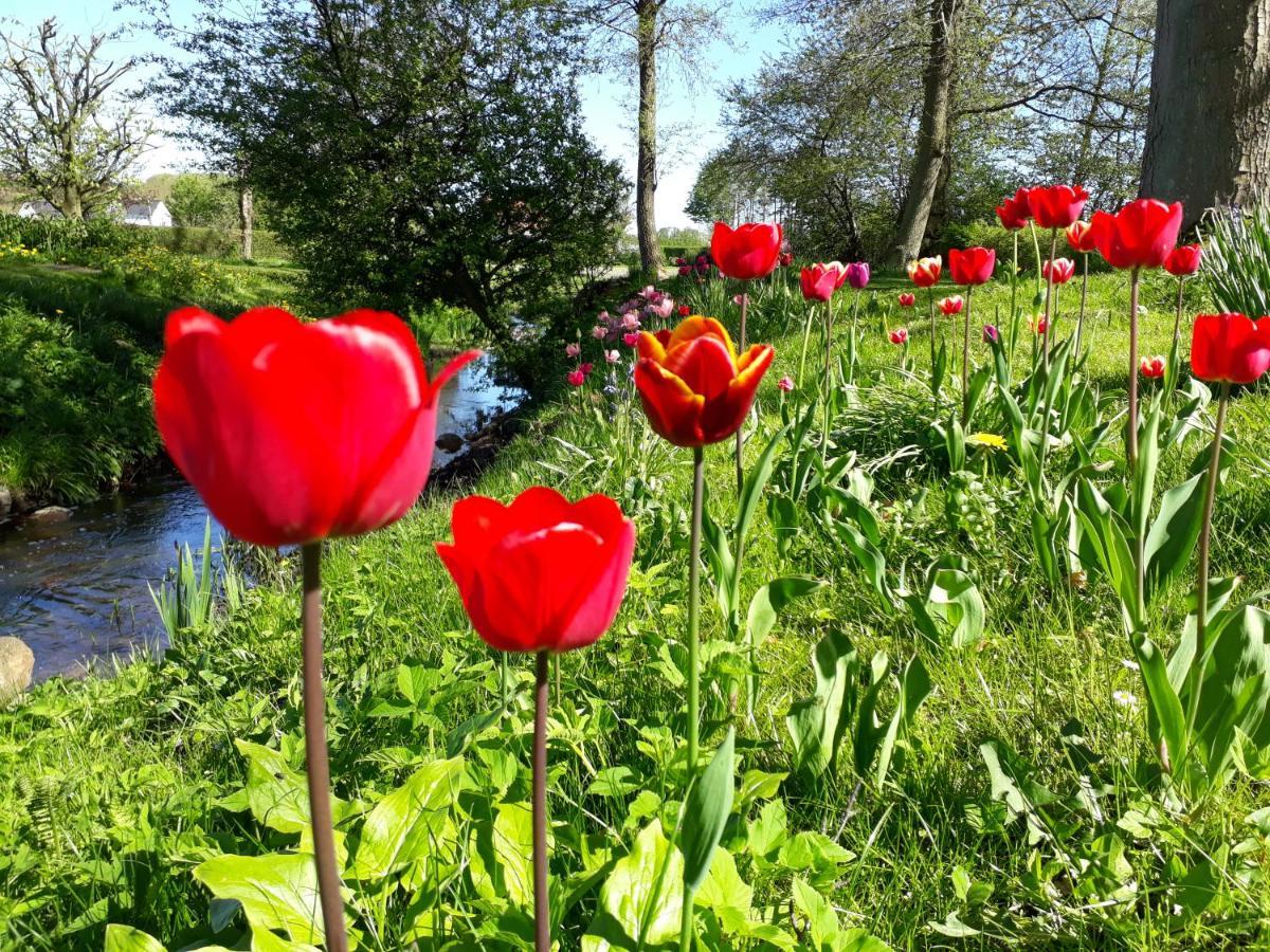 Baekgaarden B&B Lyndelse Eksteriør bilde