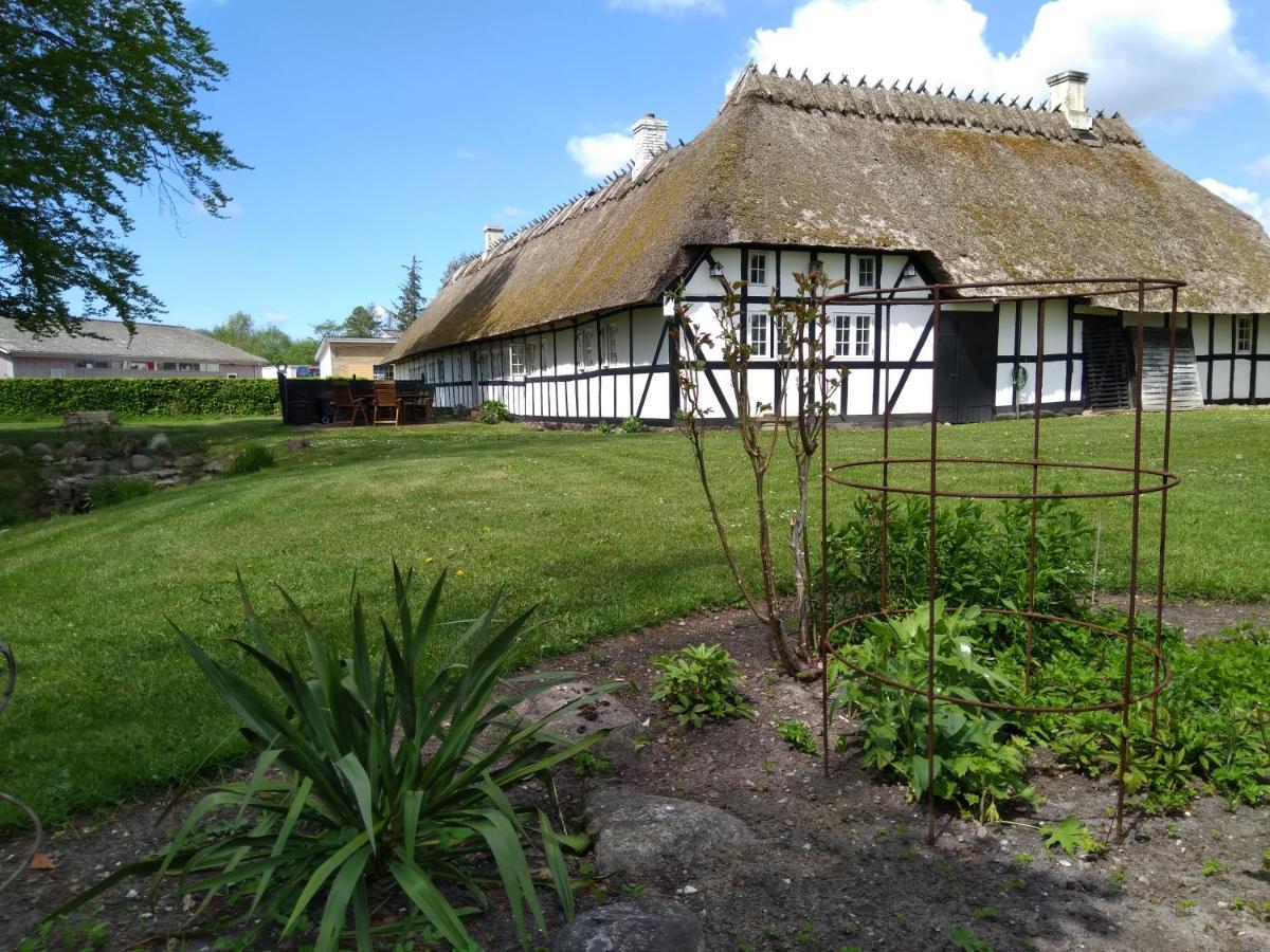 Baekgaarden B&B Lyndelse Eksteriør bilde